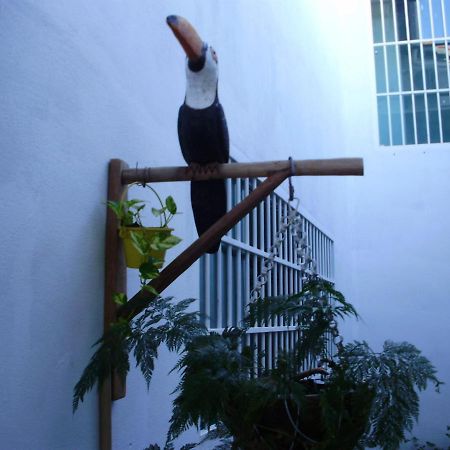 Villa Aconchego Dos Milagres à São Miguel dos Milagres Extérieur photo