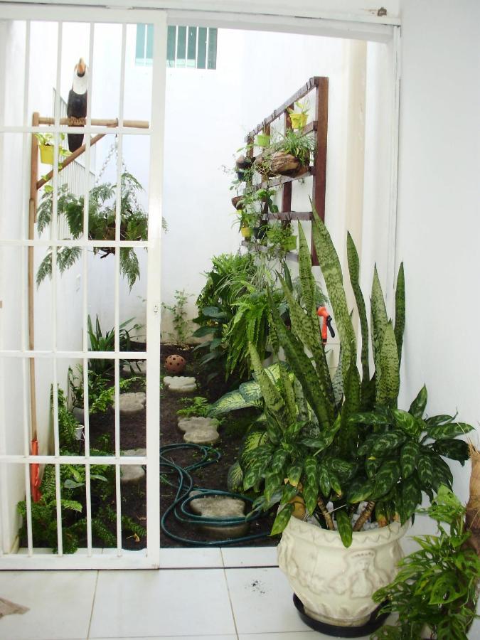 Villa Aconchego Dos Milagres à São Miguel dos Milagres Extérieur photo